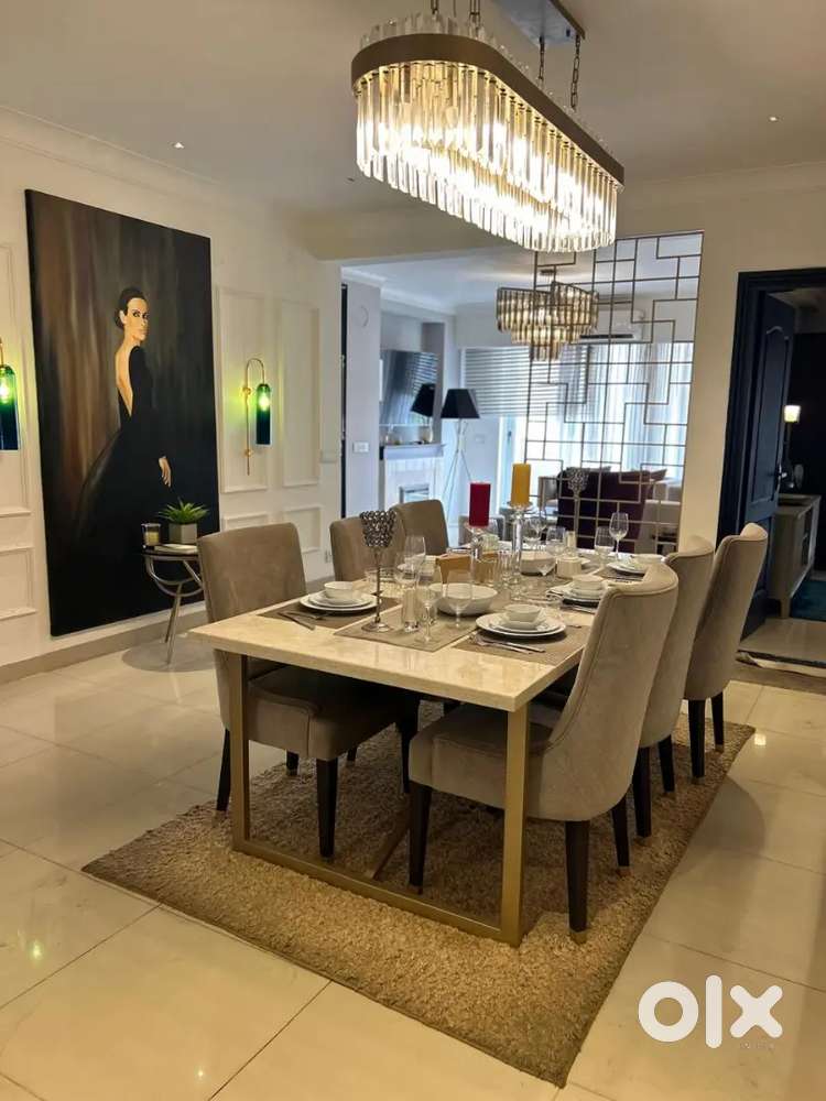 3bhk fully furnished flat for Sale on Airport road Zirakpur