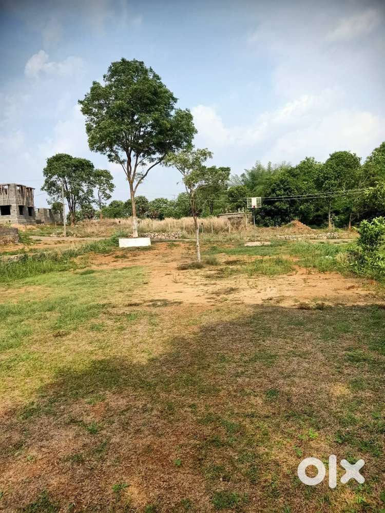 9 Cent House plot for Sale in Elappully, Palakkad