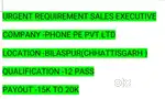 FIELD SALES EXECUTIVE