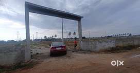 PREMIUM DC DTCP E KHATA PLOTS@ VIJIPURA MELUR 850/-PSQFT