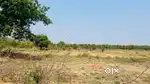 4 or 2 acres agricultural land for sale near banswada