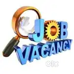 Office assistant, student councillor, Team leader