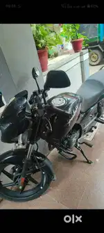 Brand new bike pulsar 125