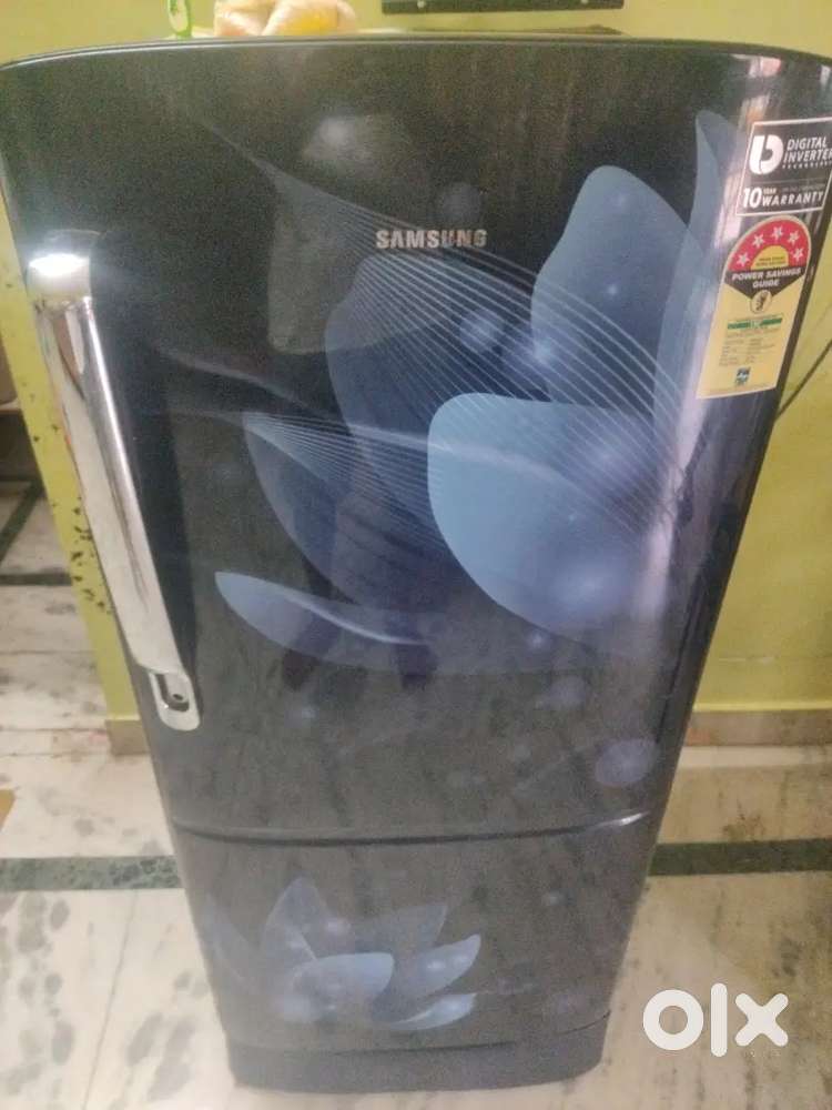 Sell frize