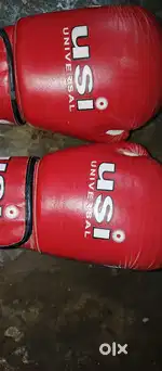 USI BOXING GLOVES