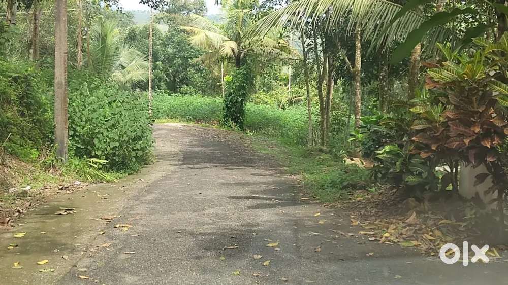 പാളയത് 8.5  സെന്റ് സ്ഥലം വില്പനക്ക്