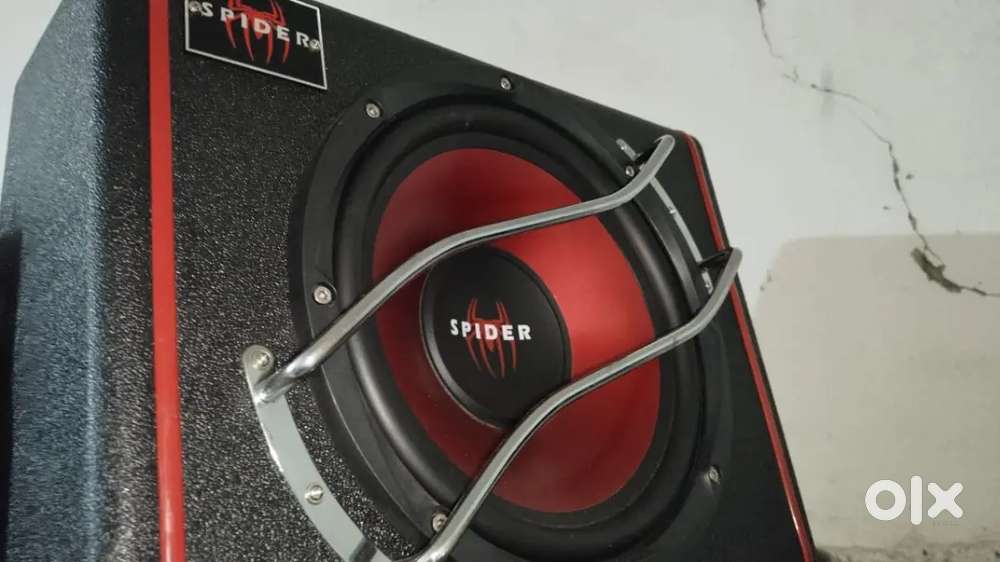 Spider 10 inch subwoofer