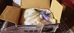 Accusure Nebulizer