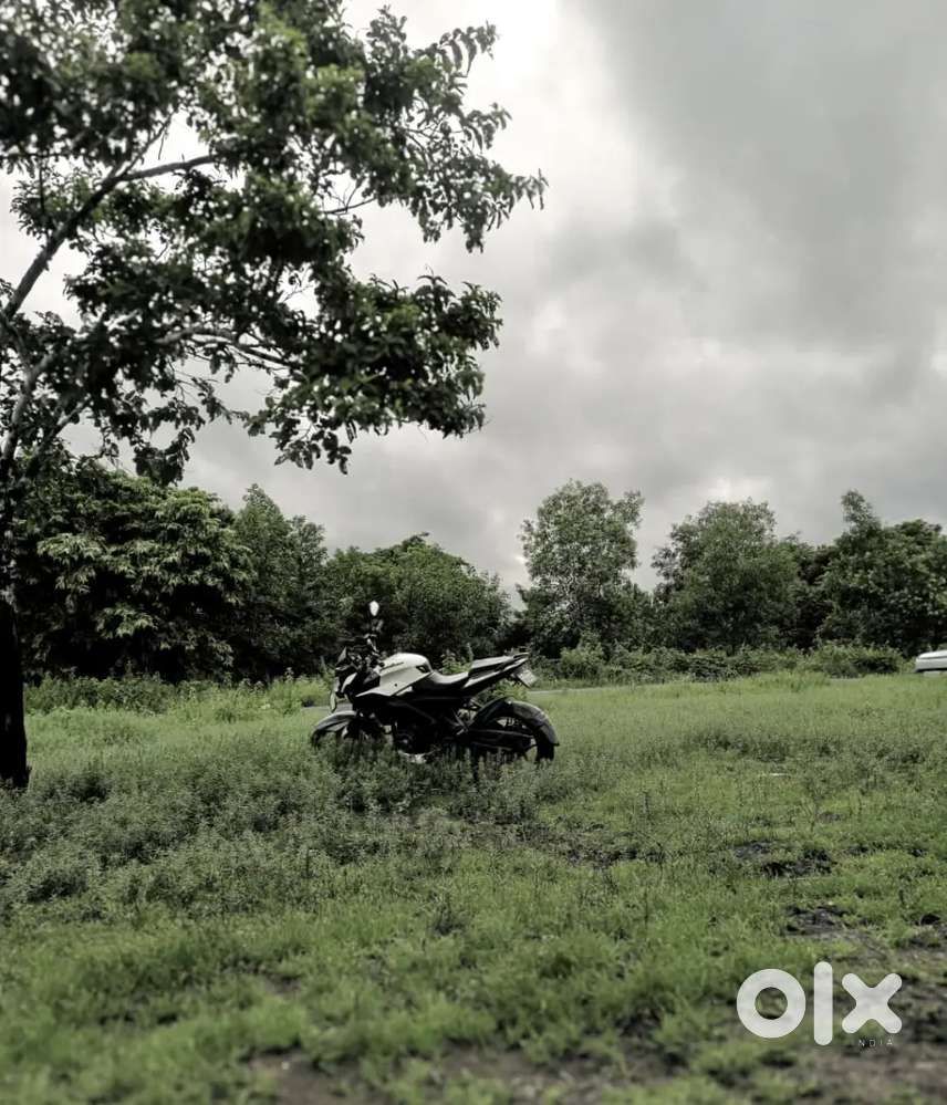 Neet mint condition exchange available