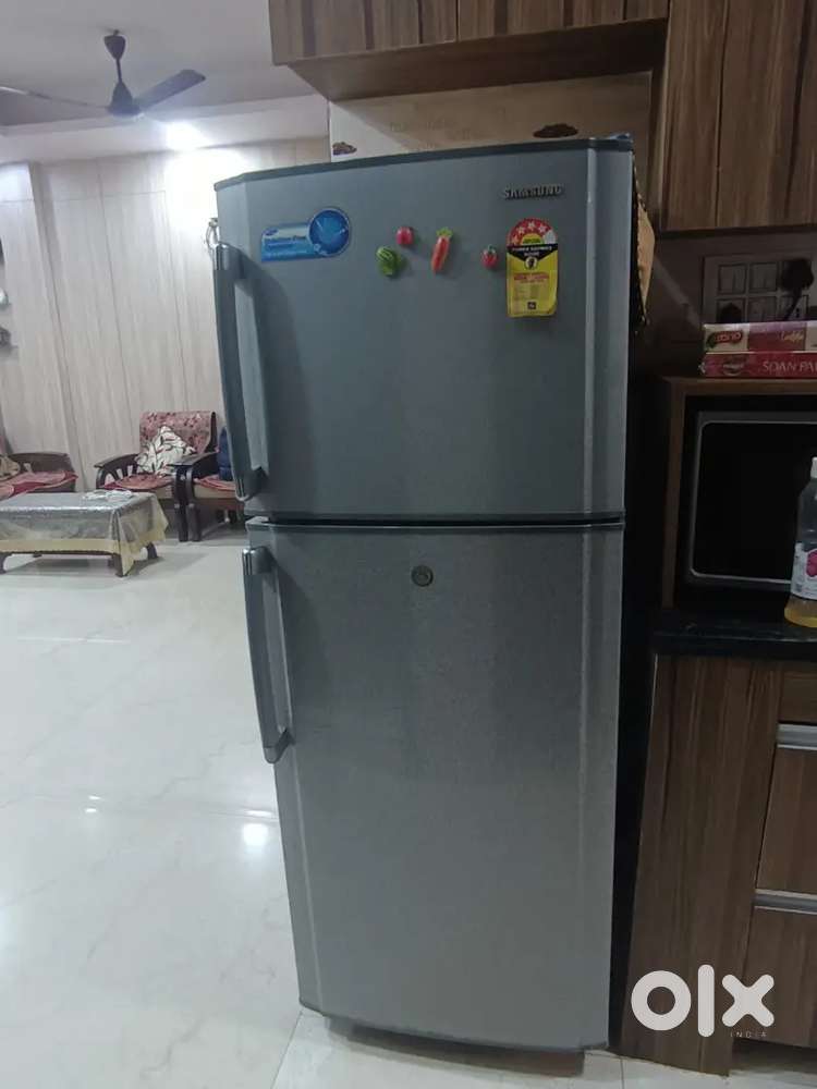 Samsung 4- Star Double-Door Frost Free Refrigerator