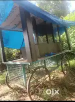Pani puri chat stall/ Four wheeler Cart
