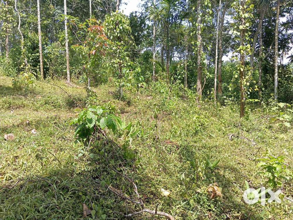 Perfect for housing, farming and any other purpose