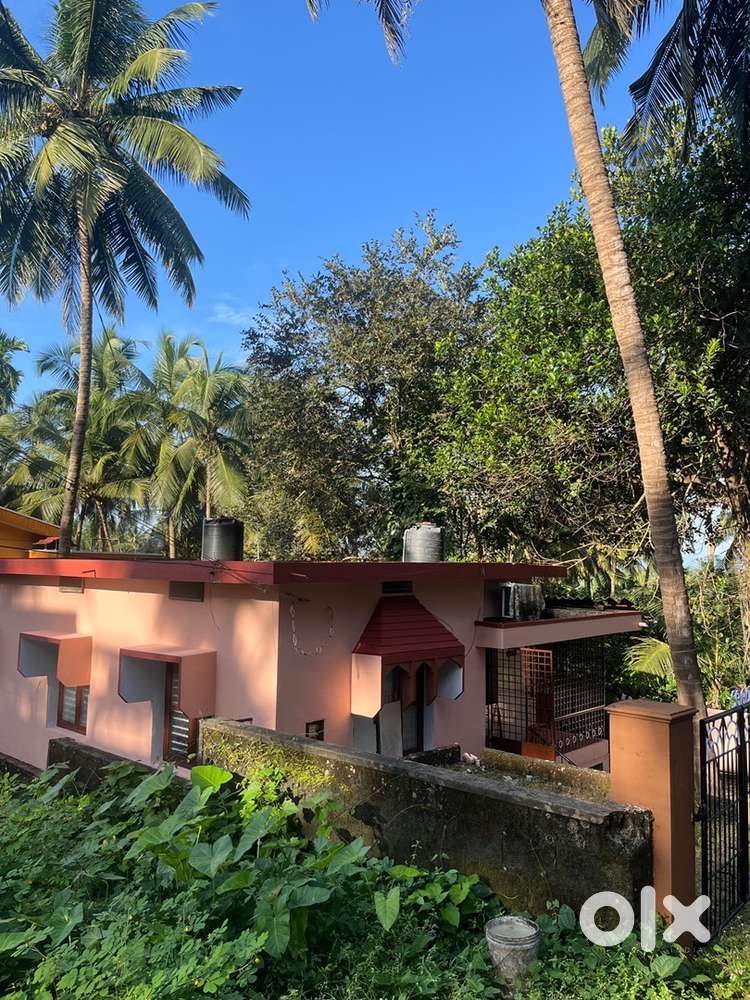 1 BHK independend house for Rent