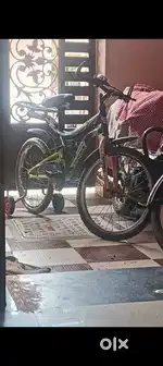 Giant cycle