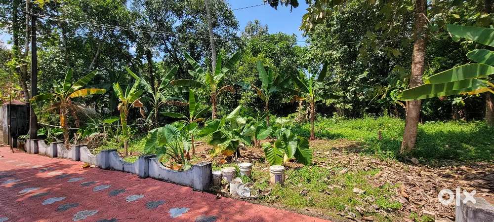 Plot for Sale @ Periserry, Chengannur, Alappuzha