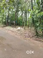 45 cent square plot