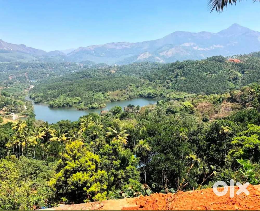 MUNNAR 17 CENT 11000 SQFT  RESORT PERMIT