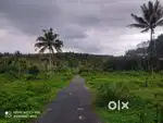 Premium 4 Acre Land in Poothadi, Wayanad