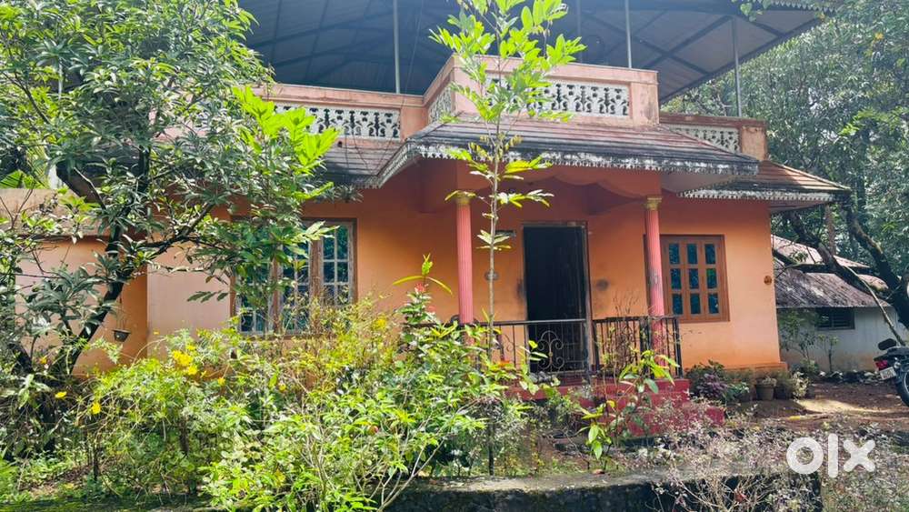 House and Plot for Sale – 35 Cents  Prime Location  Kadakkal