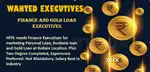 FINANCE EXECUTIVE FOR MARKETING BUSINESS LOAN, PERSONAL LOAN  AND GOLD