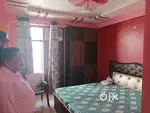 Apprtment Flat
