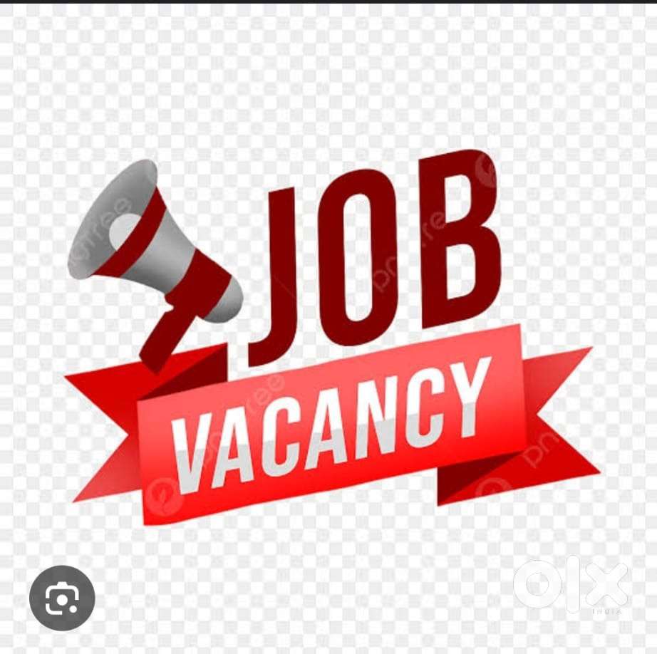 Banking, Back Office, Telecaller, Security Guard