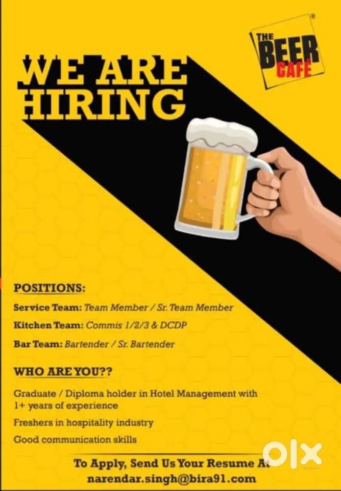 Stewards, Captains,Team Leaders, Bartender, Chef