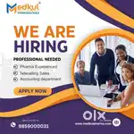 sales executive