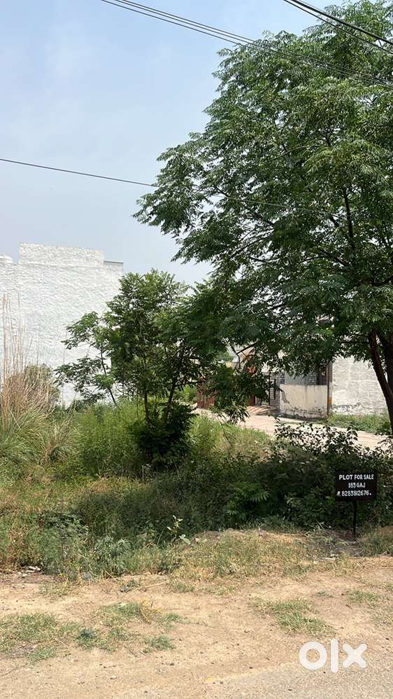 Corner plot for sale in Rupnagar