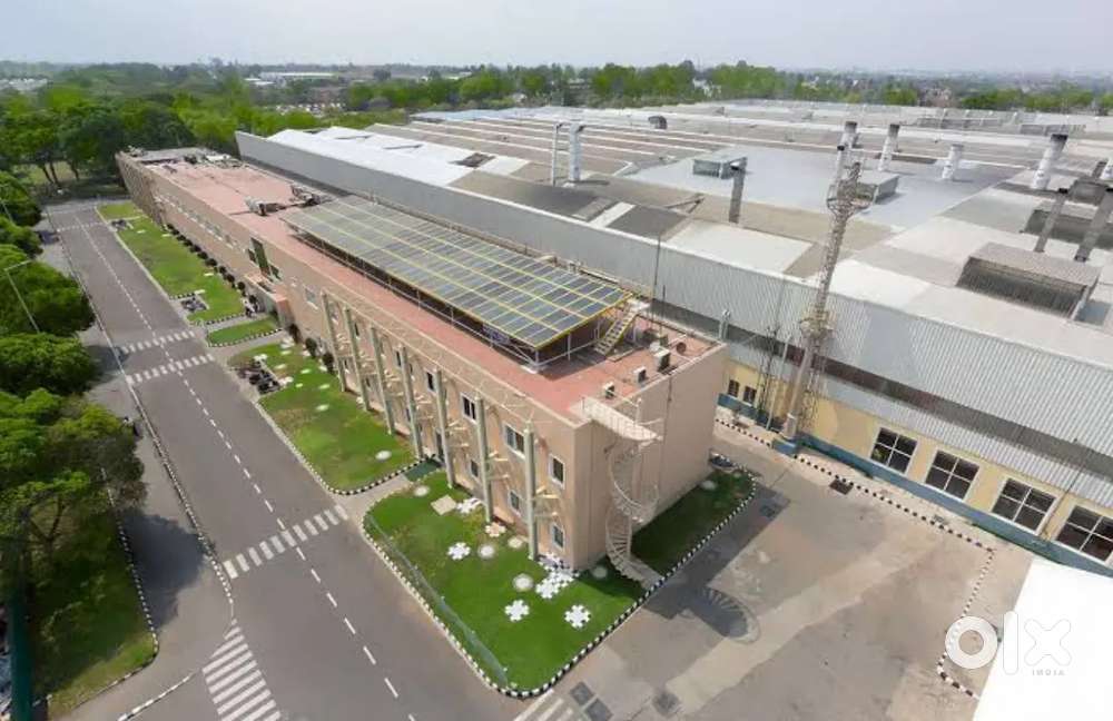 We are hiring for manufacturing company immediately joined