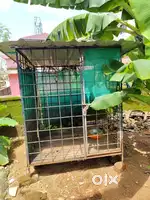 Dog Cage for sale