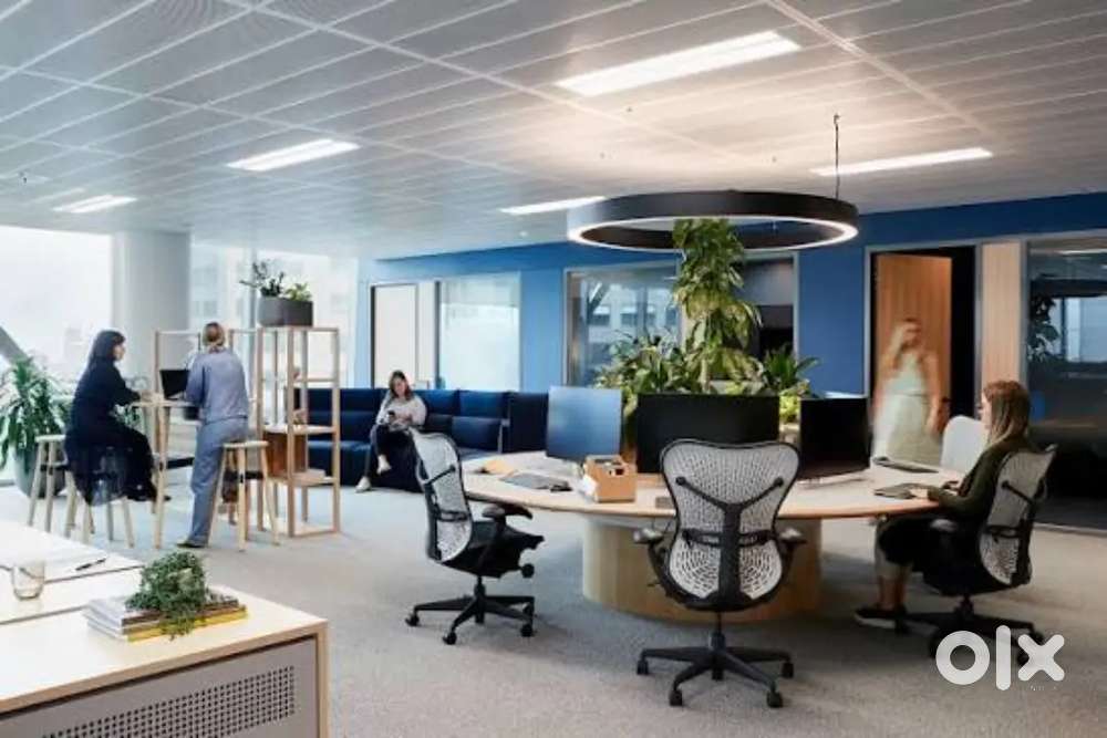 Collection executive needed