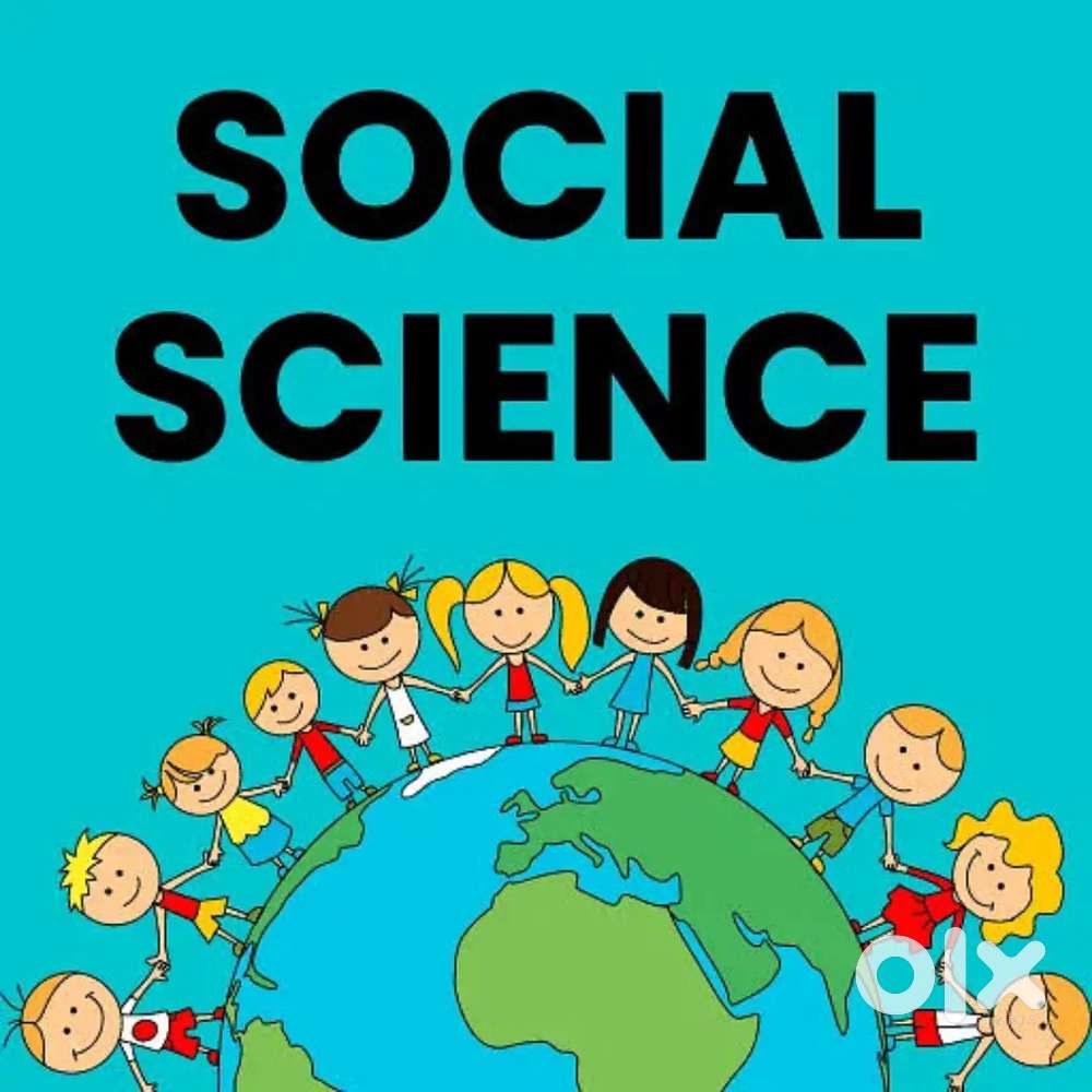 Social studies teacher