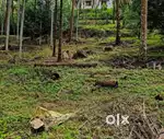 5 CENT LAND FOR SALE IN METHOTTU THAZHAM