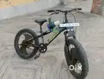 Disk brakes cycle