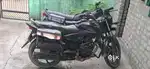 Honda CB Shine 125cc
