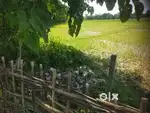 Naharkatiya nogaon kotha 14L