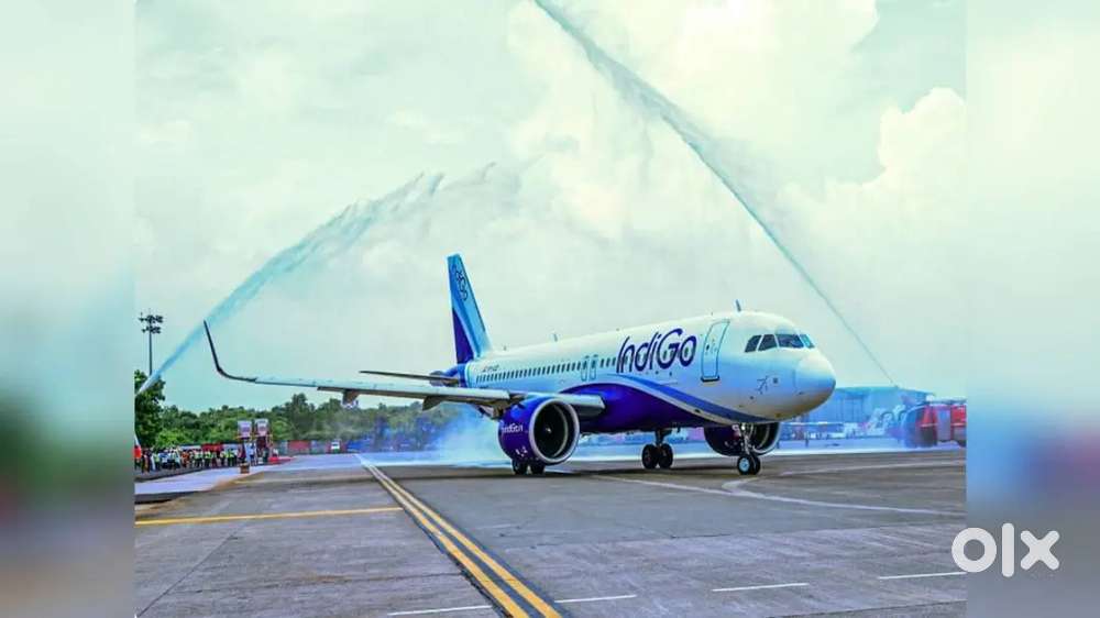 Vacancy available apply fast for Indigo airline
