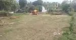 Arjent sell puruwala zmeen