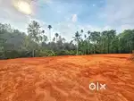 തൊടുപുഴക്ക്  അടുത്ത്  house പ്ലോട്ട് vilpanaykk