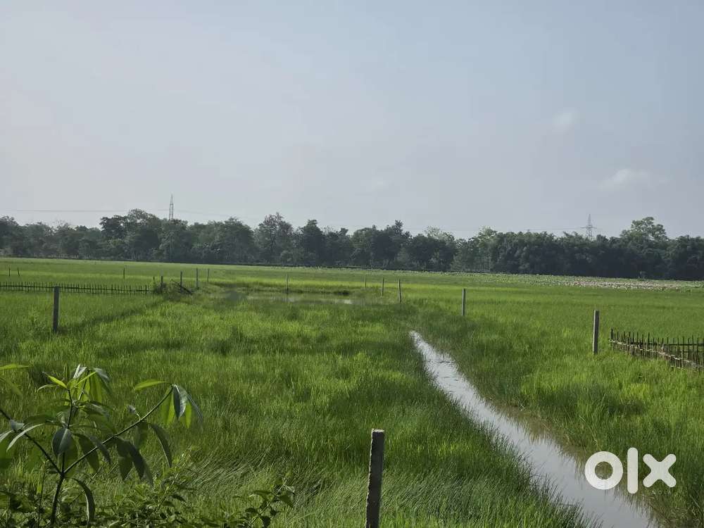 Land for sale