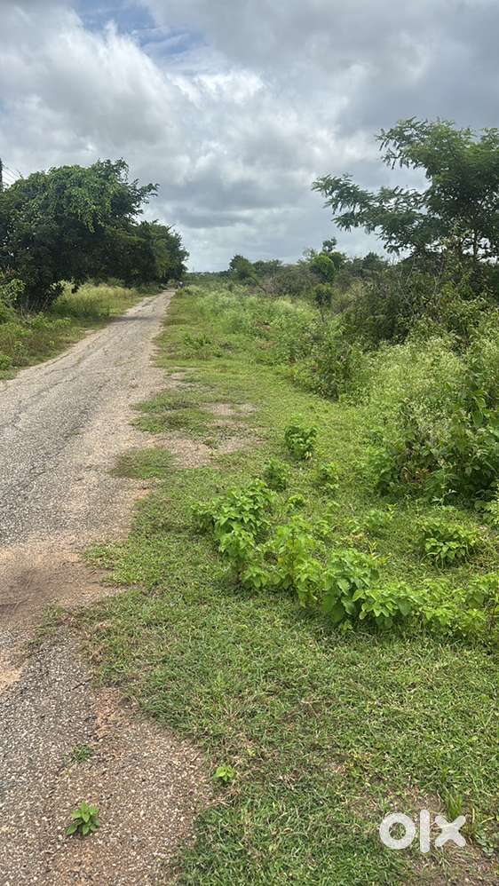 Site for Sale in Saptamatruka Layout Phase-4