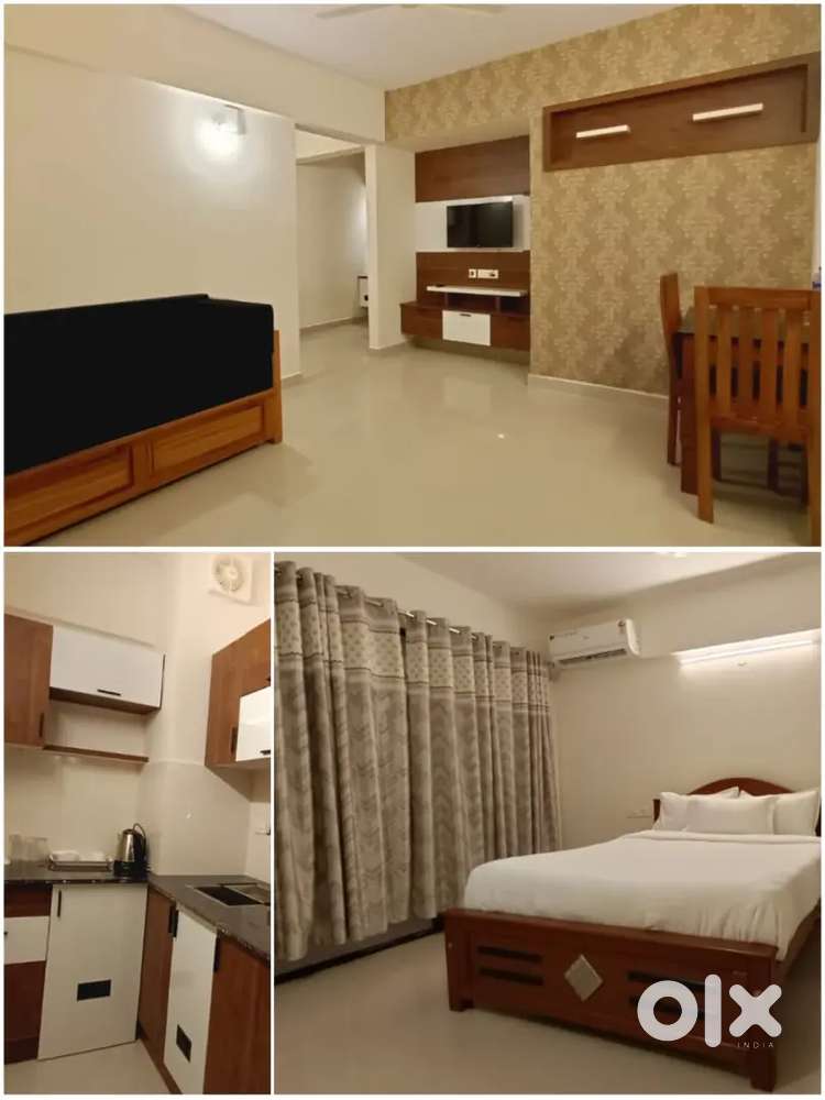 1 BHK fully furnished flat for rent near airport