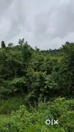 MOUNTAIN VIEW PLOT FOR SALE, AREA 2,02,300SQ MTS, PRICE@₹12LAKHS