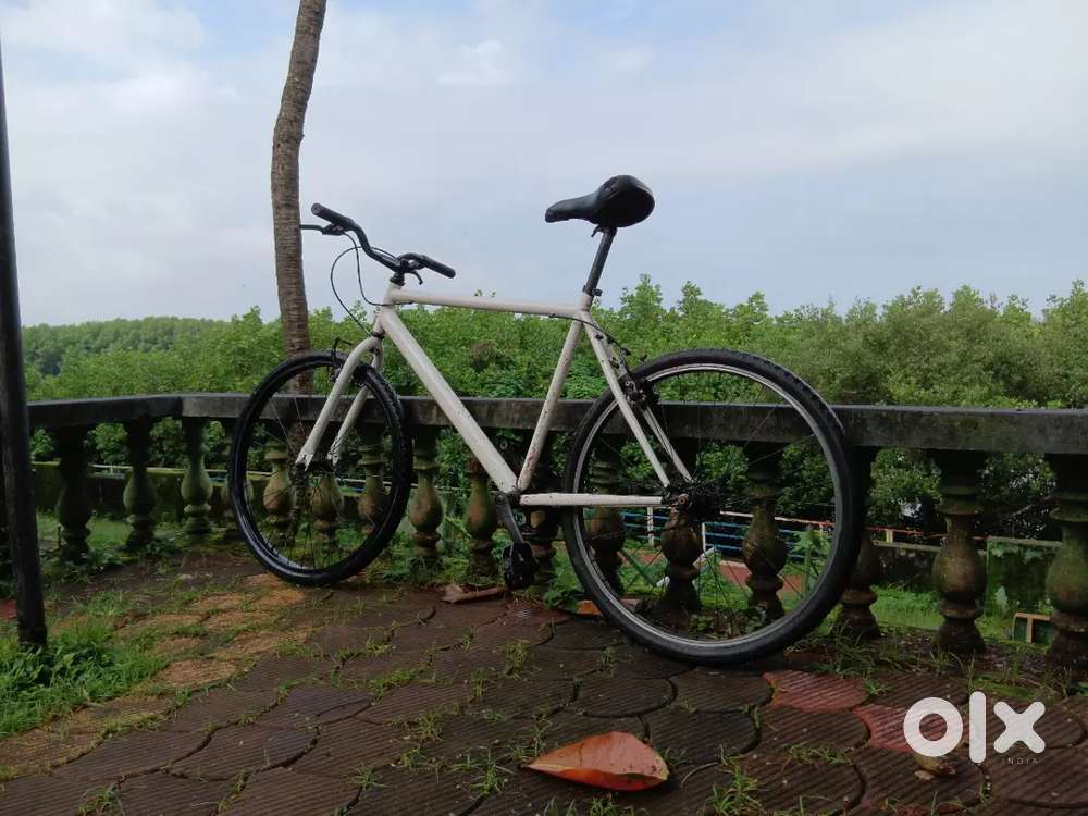 Cycle in prestine condition