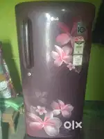 LG fridge neat