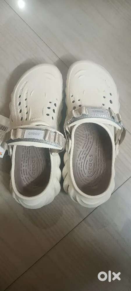 Echo clog model  cross