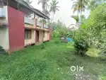 Plot for sale :- 3.75lakhs/cent