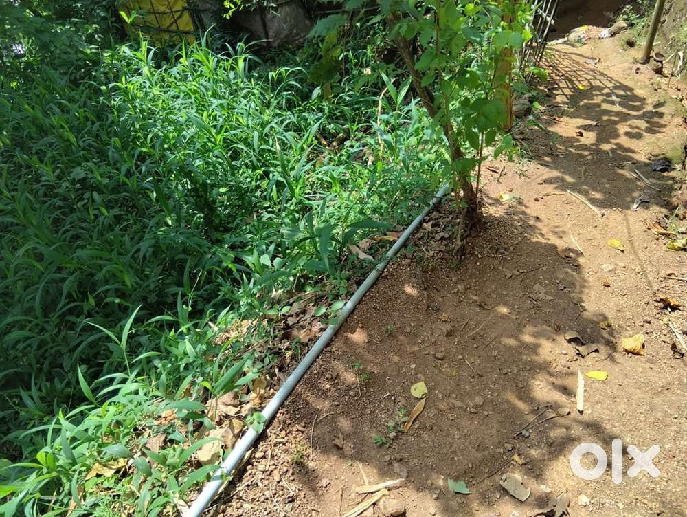 Eksoniya 15 lessa land Sale in Birubari Hill Side Near tinjhanda templ