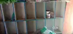Wooden fitting for karyana shop